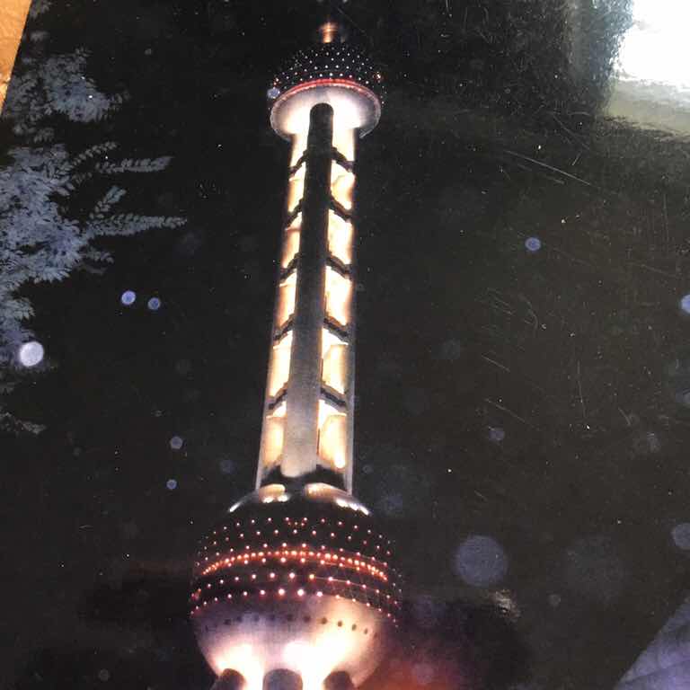 金鹏展翅