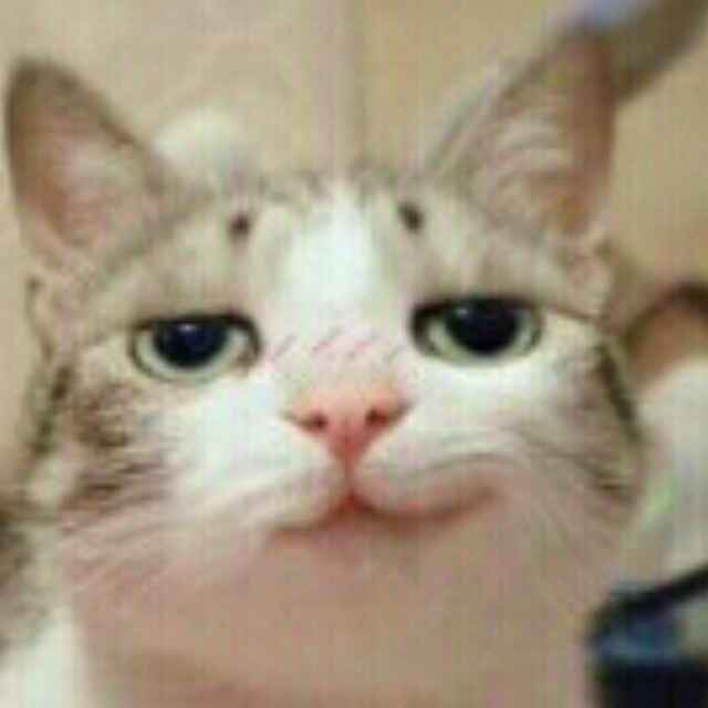 于洋