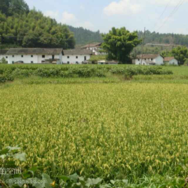 润泽(乡农园生态农庄)