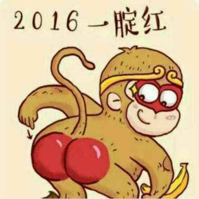 波波哥随风飘