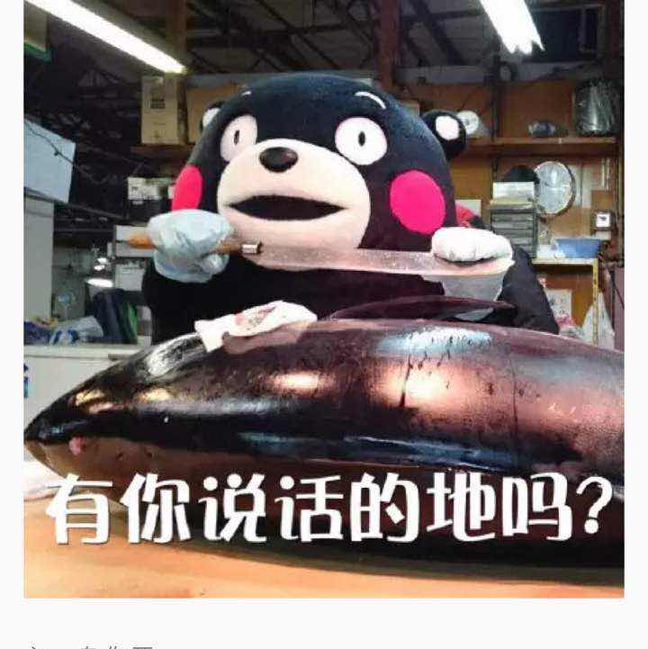 笨鸟先飞。