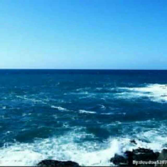 观海听涛483