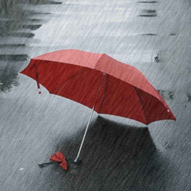 港湾979