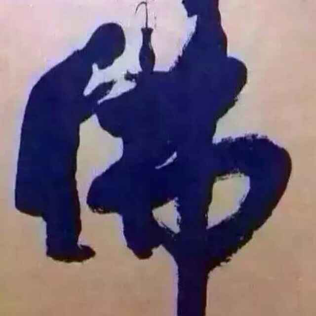 落311