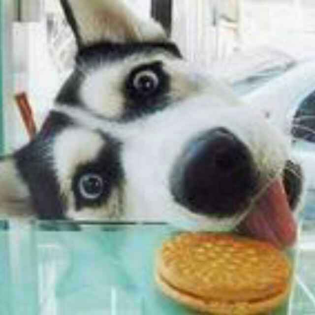 Zhu,，