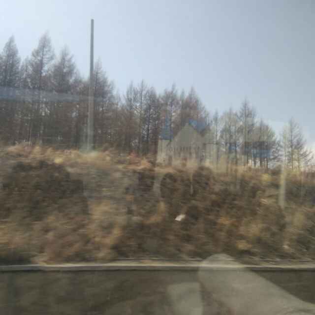 我那兜兜哇