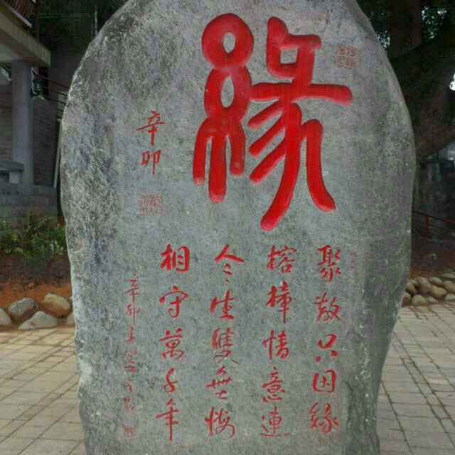 水木年华879