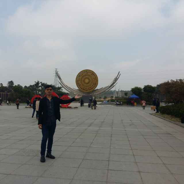 随风飘逸