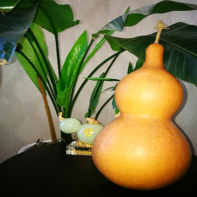 虎，虎，虎！