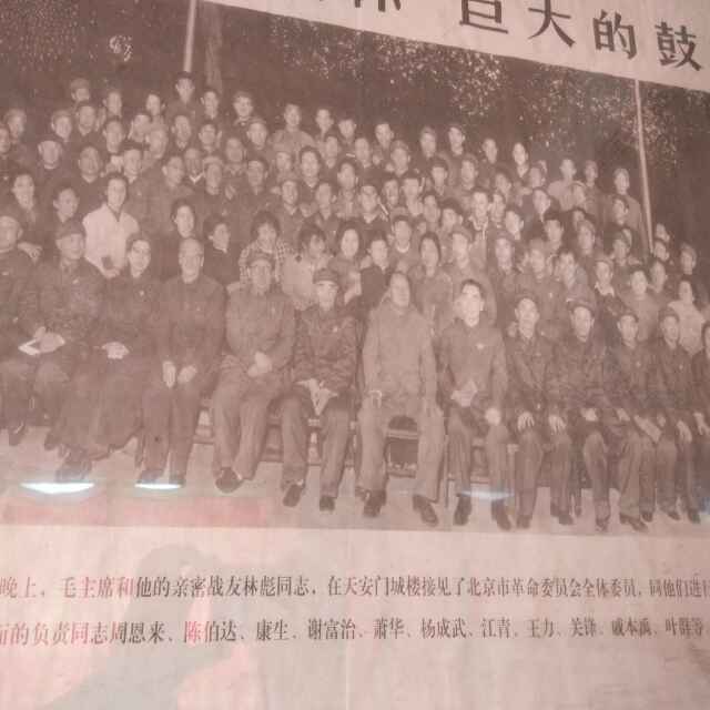大中华481
