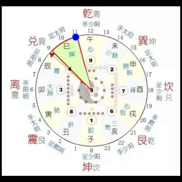 振洋