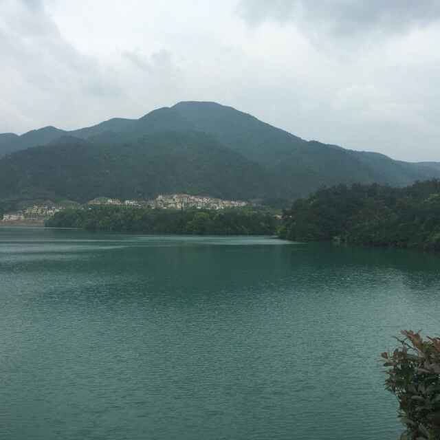同济木业王