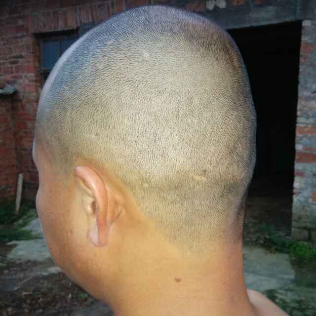 只如初见