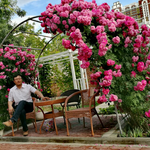 久沐阳光