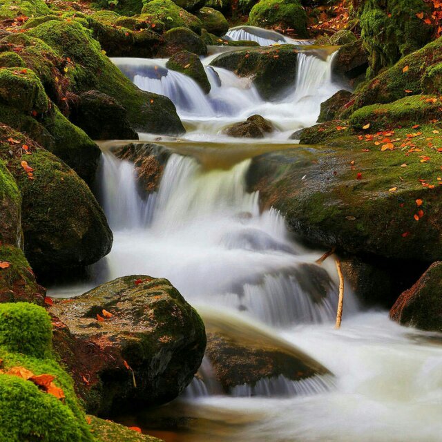 金永