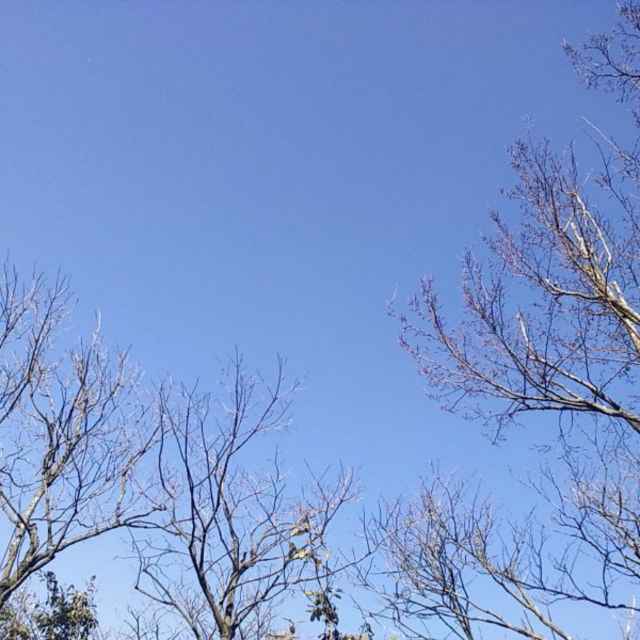 兰舟轻泛