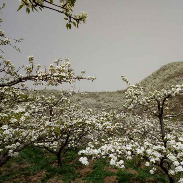 冒泡