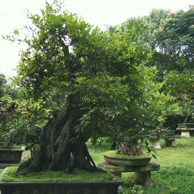 熊479