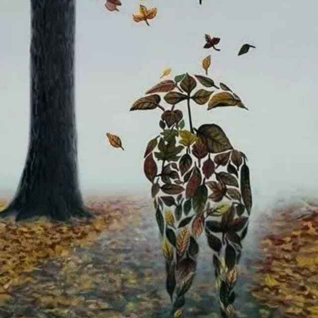 心灵树洞