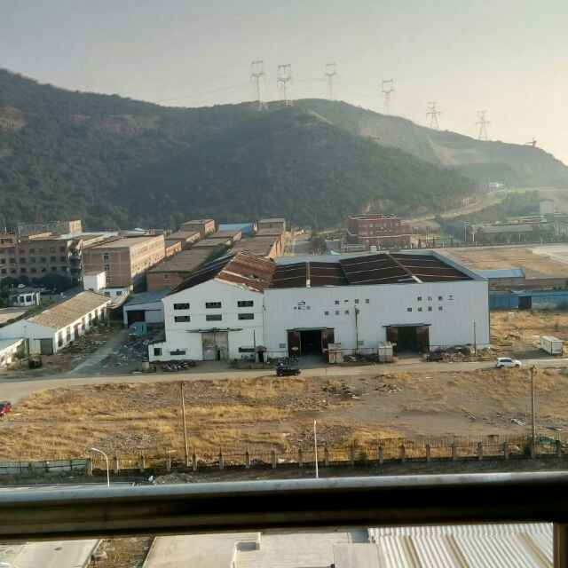 高594