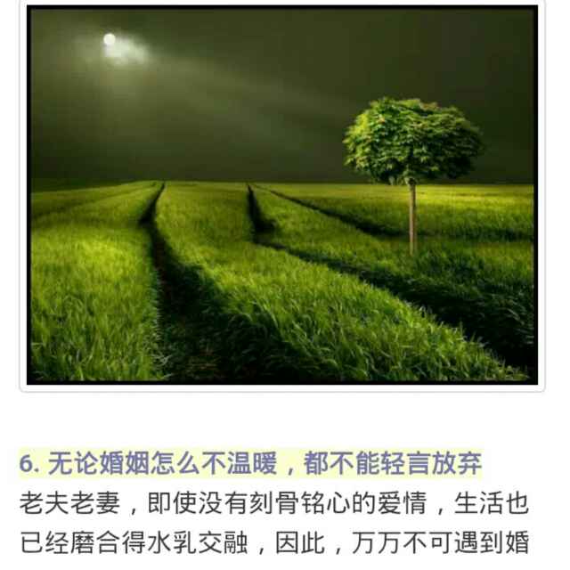 小树杨