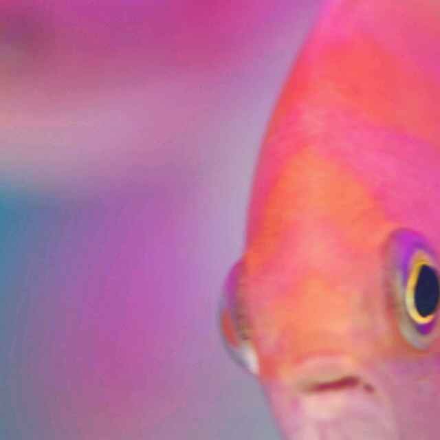 设计七期