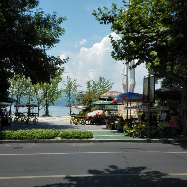 鱼公填海