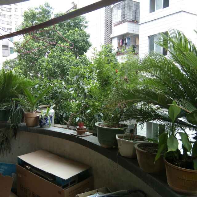 木林森334