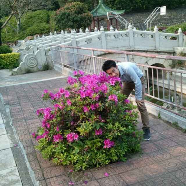 ¥@淡定...