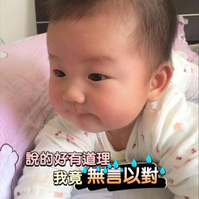 蛋蛋