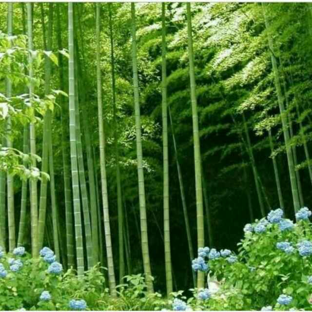 湄源木业