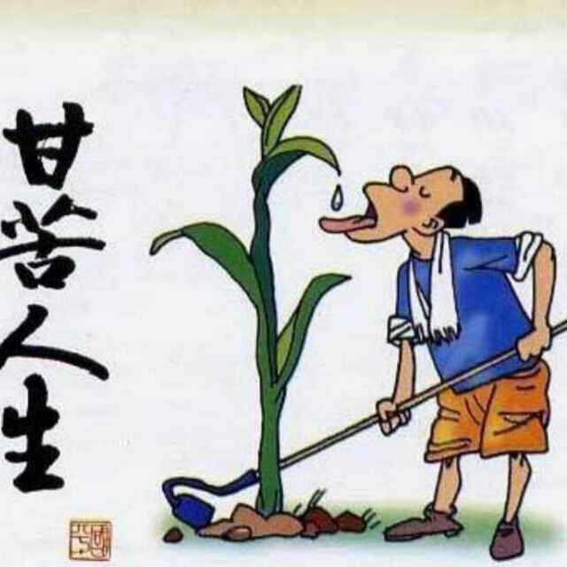 最爱永恒