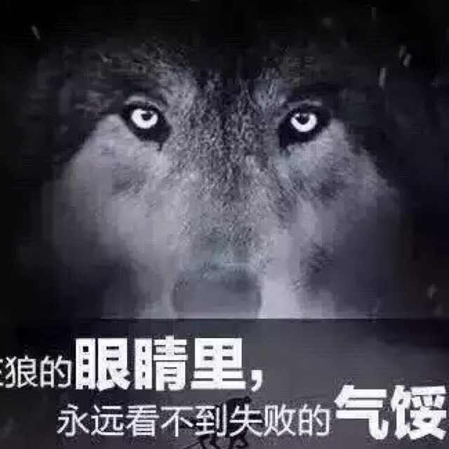平凡的挑战者