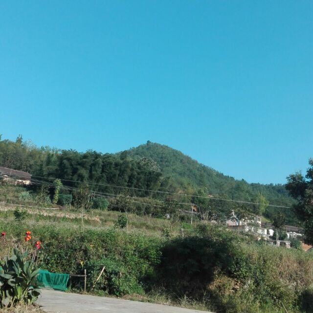 婧想