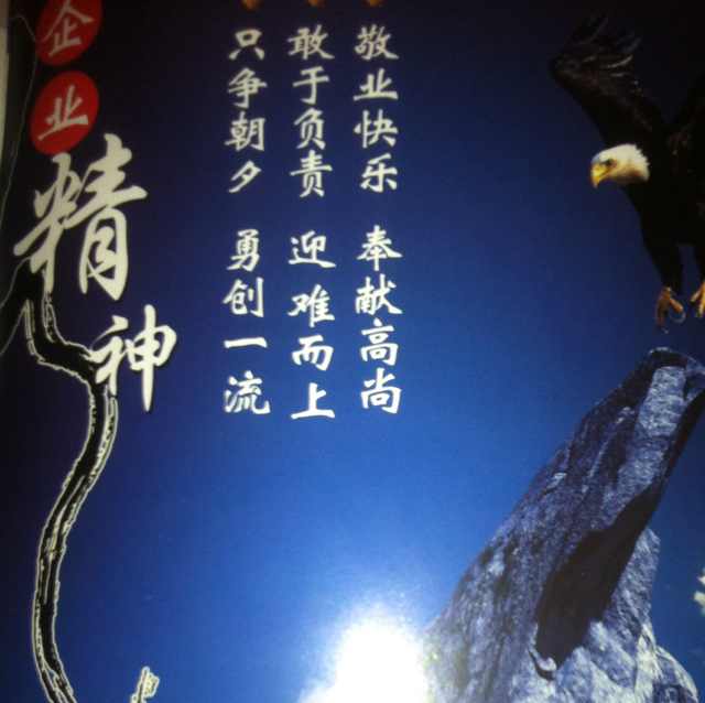 鹰击长空654