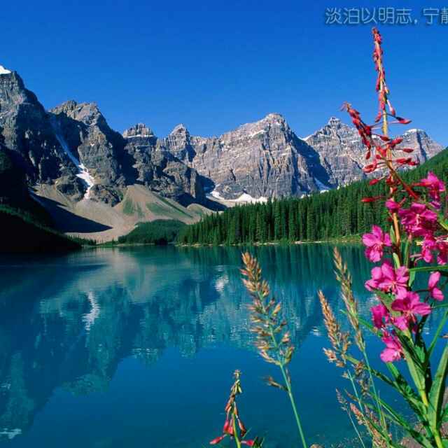 春暖花开501