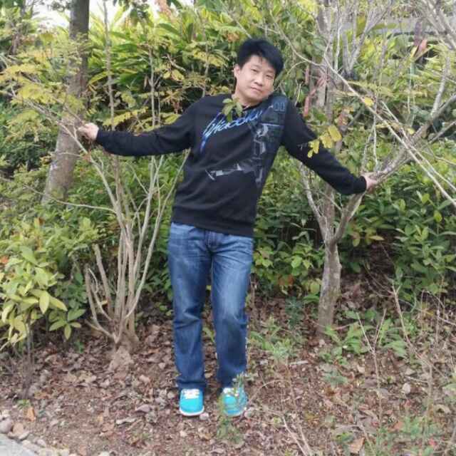 风中的云328