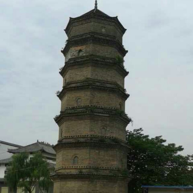 随缘359