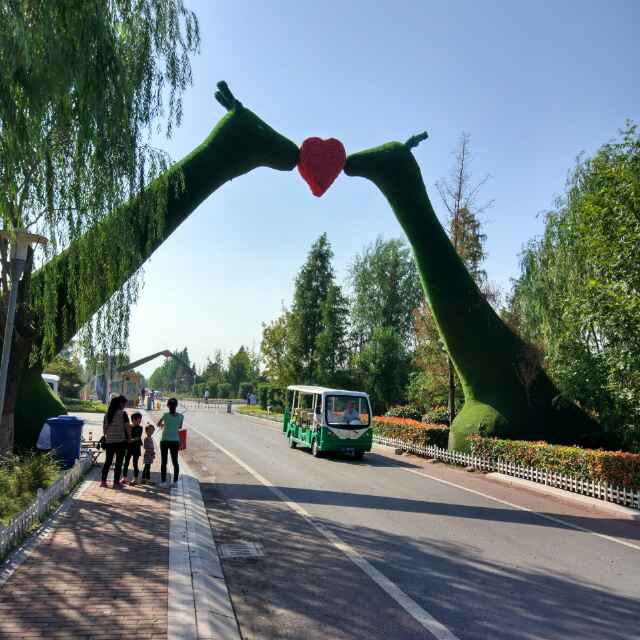A 随遇而安