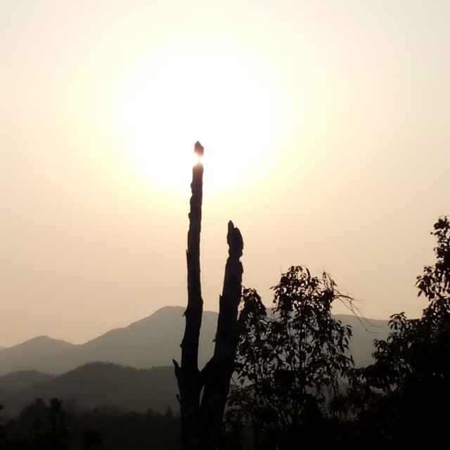 云茗富斯沙发