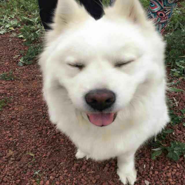 额