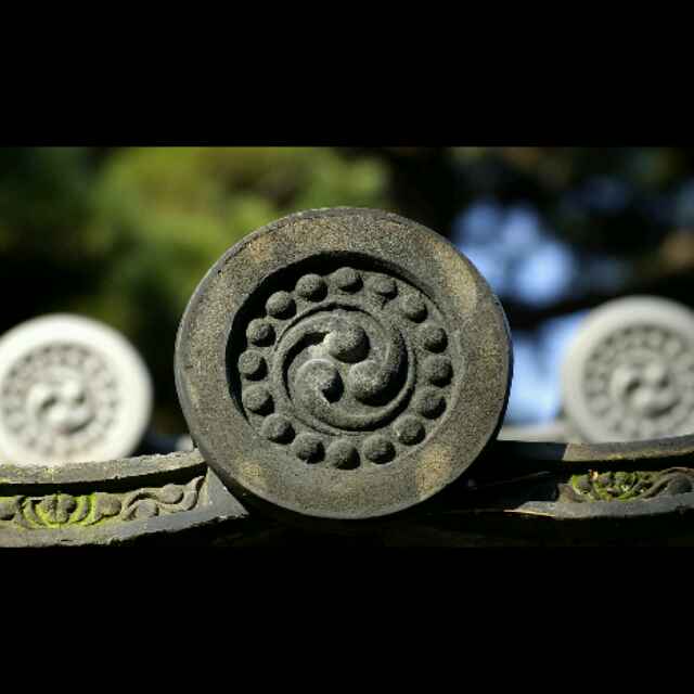 广集