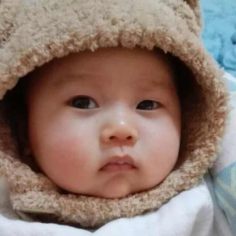 有木有木