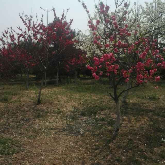 相濡以沫765