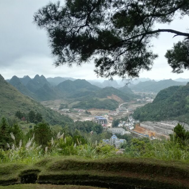 王毅