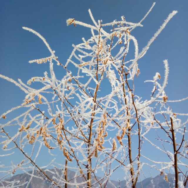 赵永世