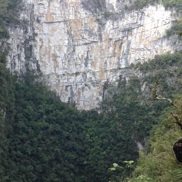 天峨县广峰木业有限公司陳祚見