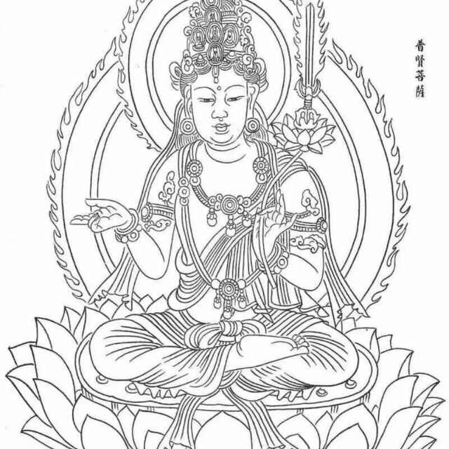 奋斗一生