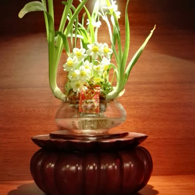 阿冰