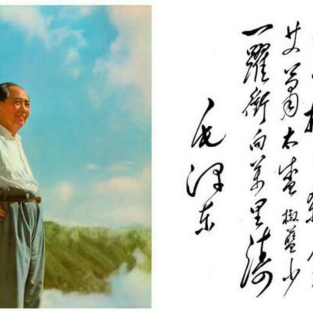 小茶园